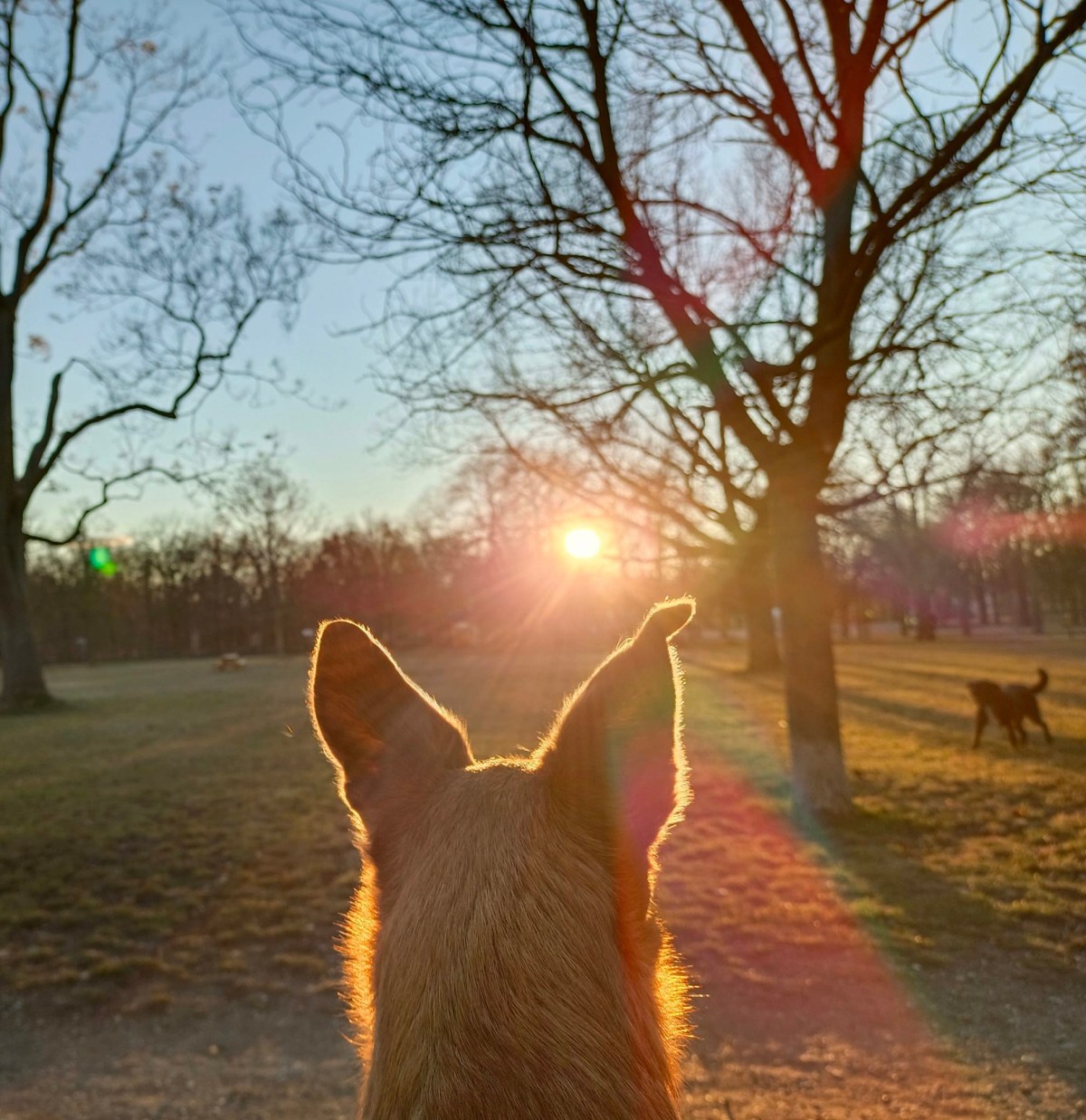 Heile im Licht deines&nbsp;Herzens